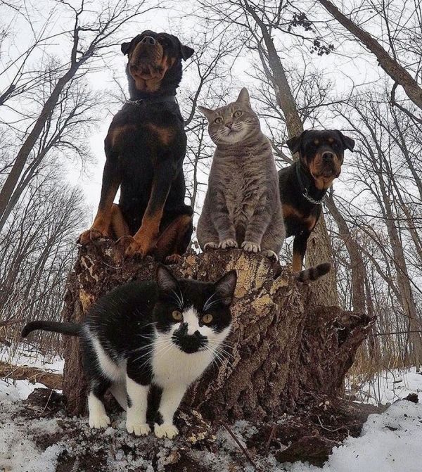 Acid Picdump (93 pics)