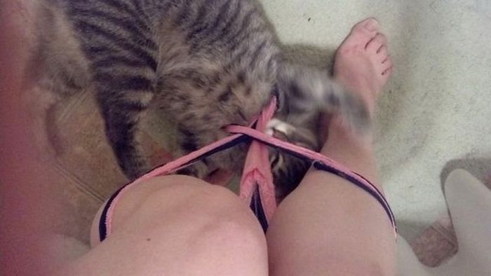 Painful Fails That Are Hard To Look At (27 pics)