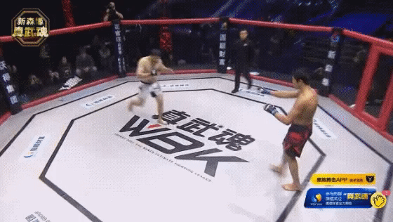 MMA Fighter Destroys His Opponent With A Brutal Sucker Punch (2 gifs)