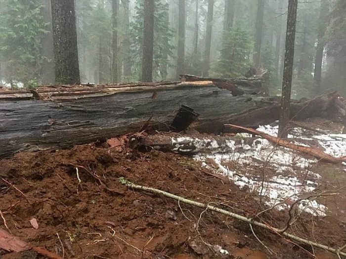 Iconic California Tunnel Destroyed By Storm (3 pics)