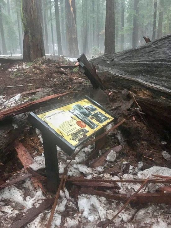 Iconic California Tunnel Destroyed By Storm (3 pics)