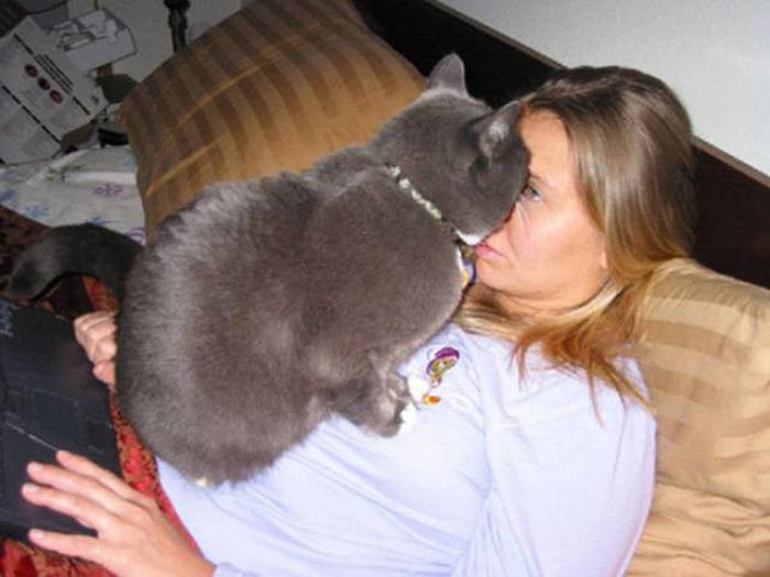 It's A Cat's World We Just Live In It (20 pics)