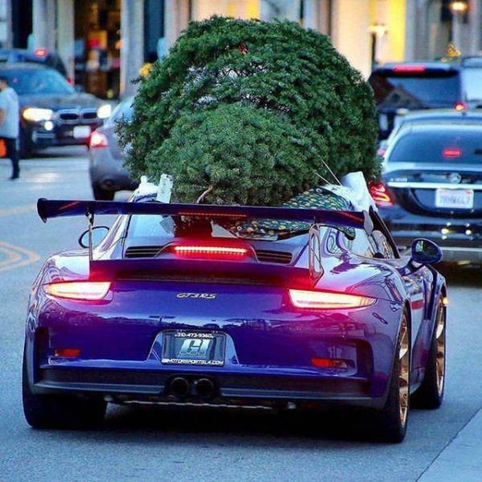 A Hilarious Dose Of Car Humor To Make Your Day (45 pics)