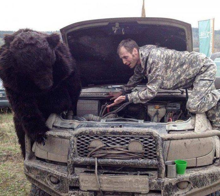 A Hilarious Dose Of Car Humor To Make Your Day (45 pics)