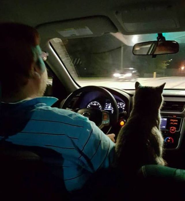 A Hilarious Dose Of Car Humor To Make Your Day (45 pics)