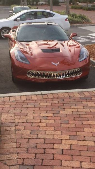 A Hilarious Dose Of Car Humor To Make Your Day (45 pics)