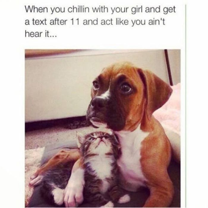Lowbrow Humor That Will Keep You Laughing For A While (40 pics)