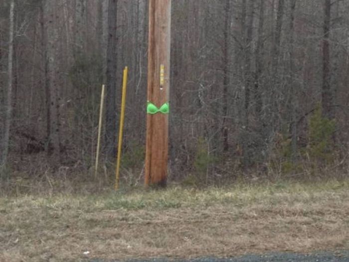 Lowbrow Humor That Will Keep You Laughing For A While (40 pics)