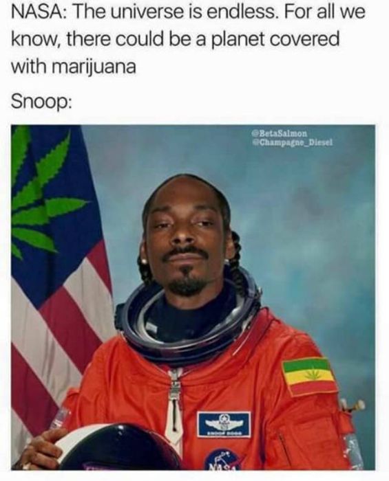 Lowbrow Humor That Will Keep You Laughing For A While (40 pics)