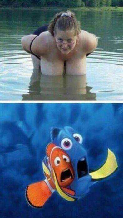 Lowbrow Humor That Will Keep You Laughing For A While (40 pics)