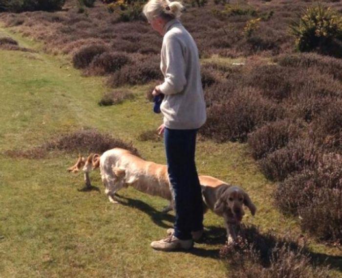 Brutal Panoramic Pictures Fails (18 pics)