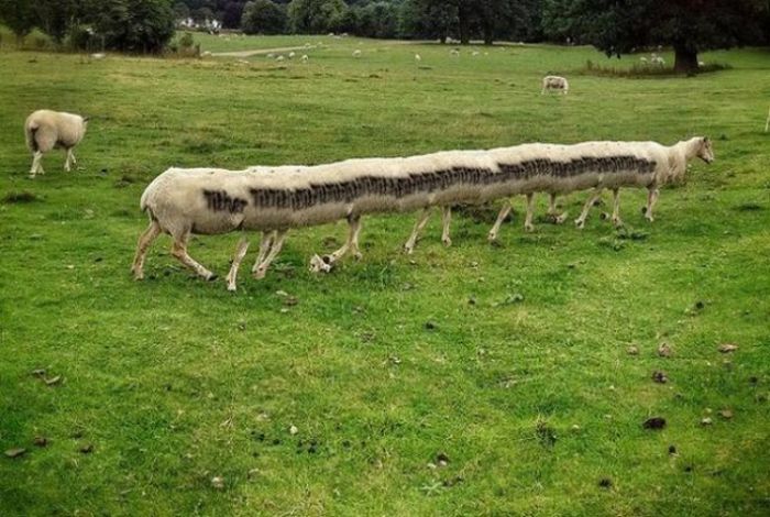 Brutal Panoramic Pictures Fails (18 pics)