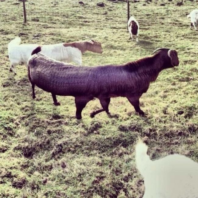 Brutal Panoramic Pictures Fails (18 pics)