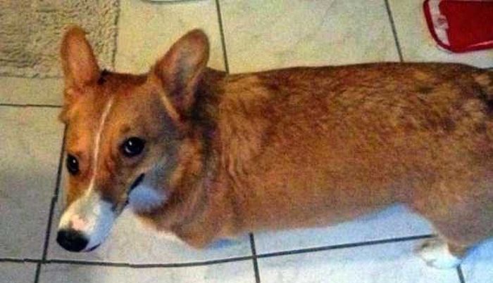 Brutal Panoramic Pictures Fails (18 pics)