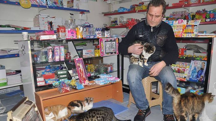 Local Istanbul Shop Owners Take Care Of Their Furry Friends (9 pics) Local Istanbul Shop Owners Take Care Of Their Furry Friends (9 pics)