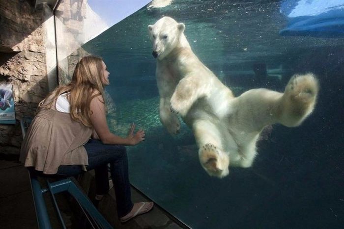 Acid Picdump (92 pics)