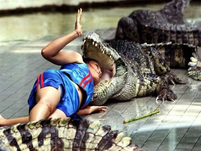 Acid Picdump (92 pics)