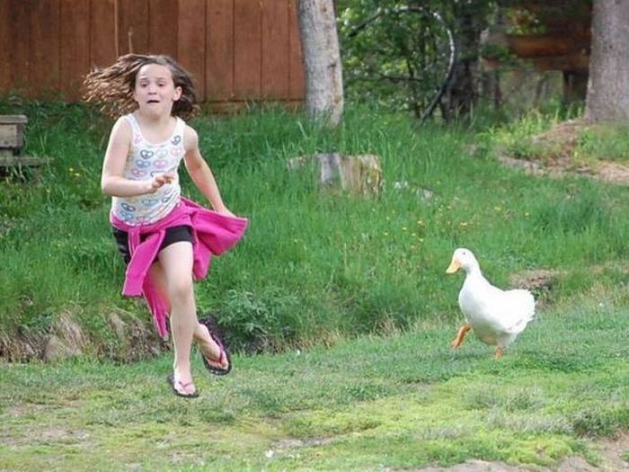 Acid Picdump (92 pics)