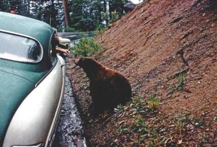 Acid Picdump (92 pics)