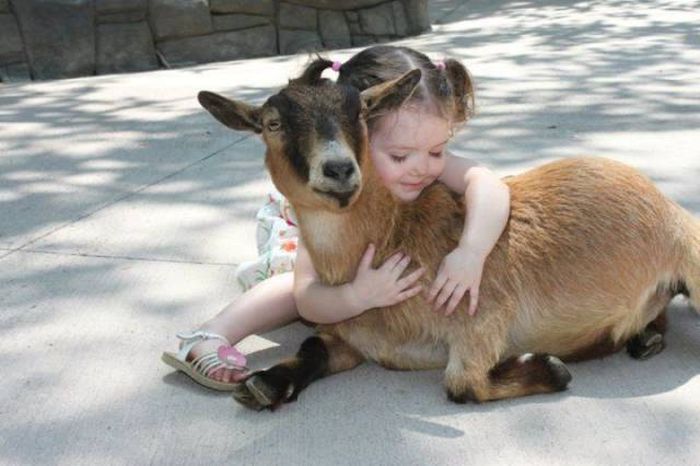 Acid Picdump (92 pics)
