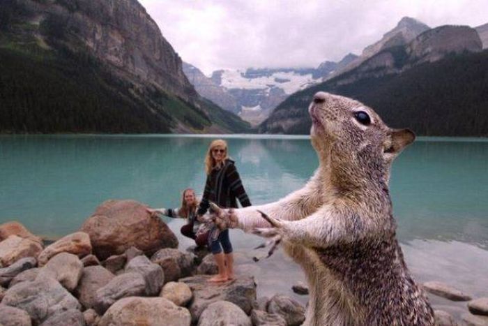 Acid Picdump (92 pics)