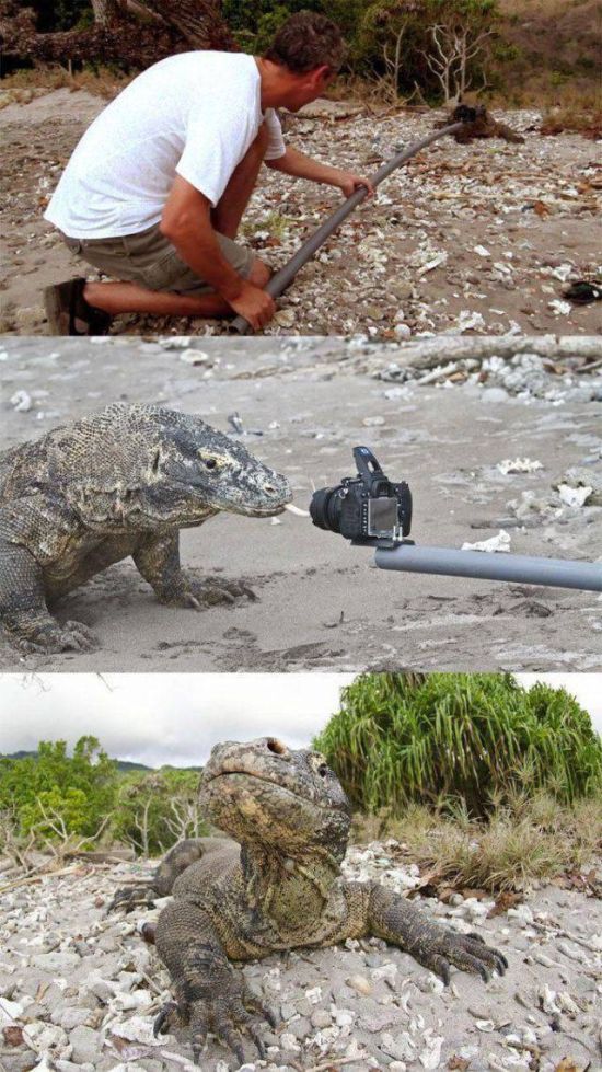 Acid Picdump (92 pics)