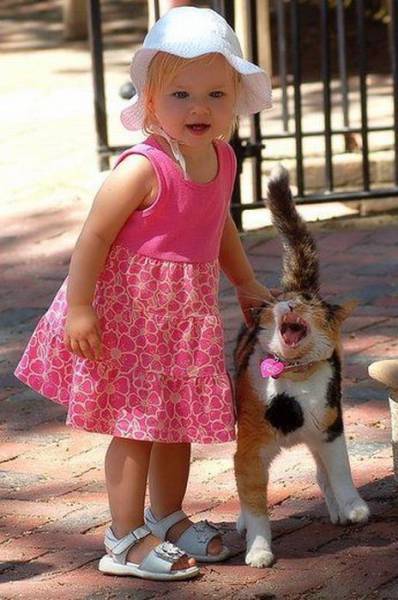 Acid Picdump (92 pics)