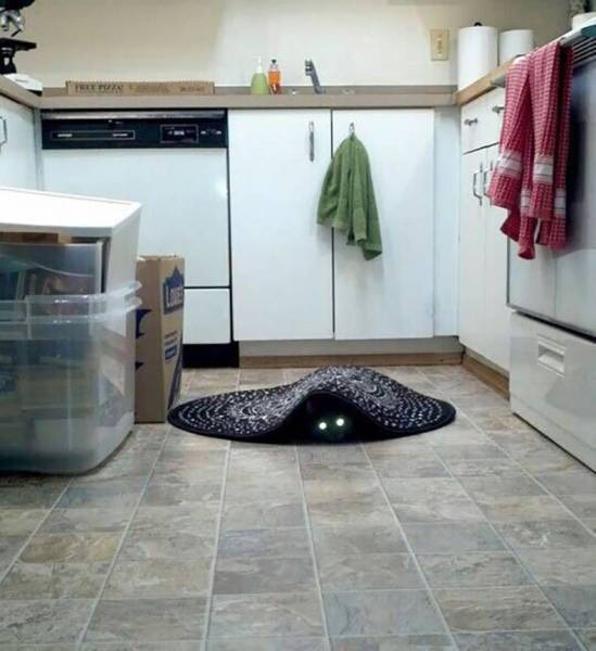Acid Picdump (92 pics)