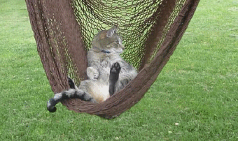 Acid Gifdump, January 16, 2017 (25 gifs)