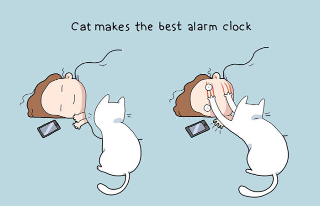Life Is Never Boring When You Live With A Cat (50 pics)