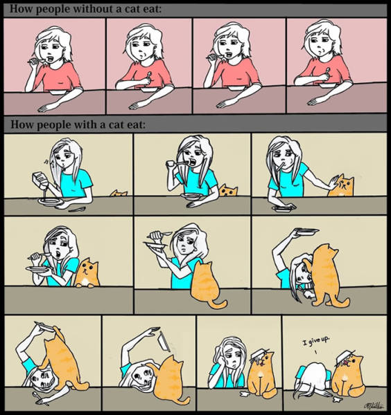 Life Is Never Boring When You Live With A Cat (50 pics)