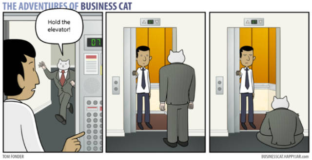 Life Is Never Boring When You Live With A Cat (50 pics)