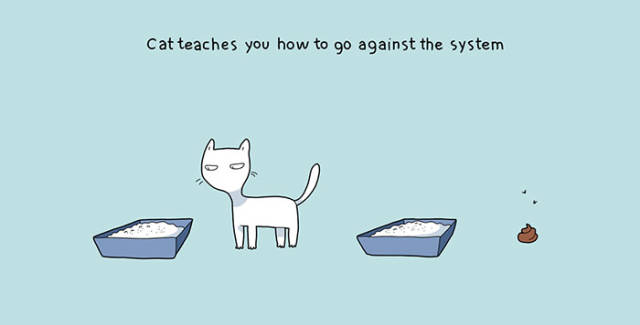 Life Is Never Boring When You Live With A Cat (50 pics)
