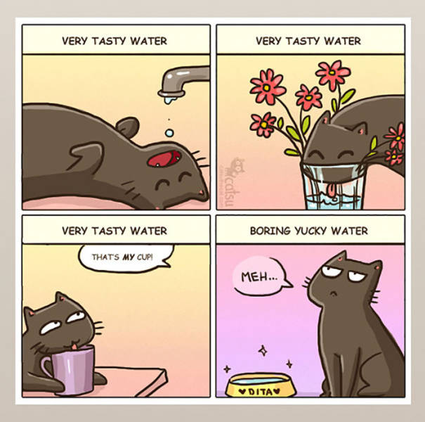 Life Is Never Boring When You Live With A Cat (50 pics)
