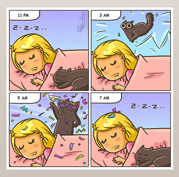 Life Is Never Boring When You Live With A Cat (50 pics)