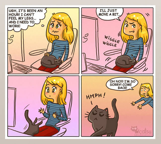 Life Is Never Boring When You Live With A Cat (50 pics)