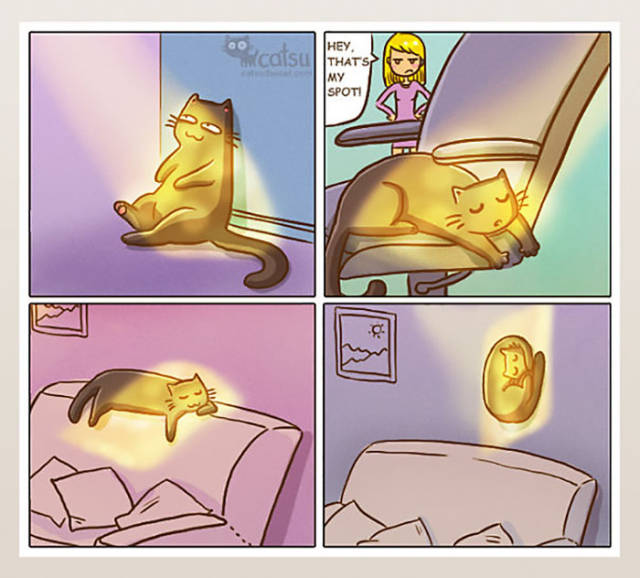 Life Is Never Boring When You Live With A Cat (50 pics)