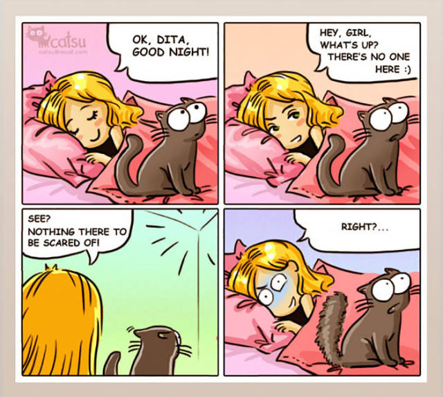 Life Is Never Boring When You Live With A Cat (50 pics)