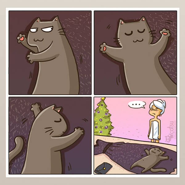 Life Is Never Boring When You Live With A Cat (50 pics)