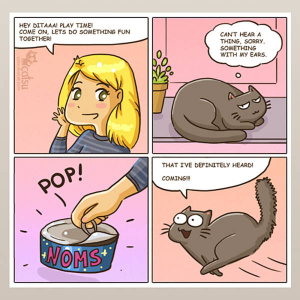 Life Is Never Boring When You Live With A Cat (50 pics)