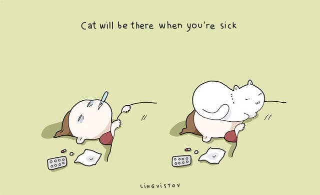 Life Is Never Boring When You Live With A Cat (50 pics)