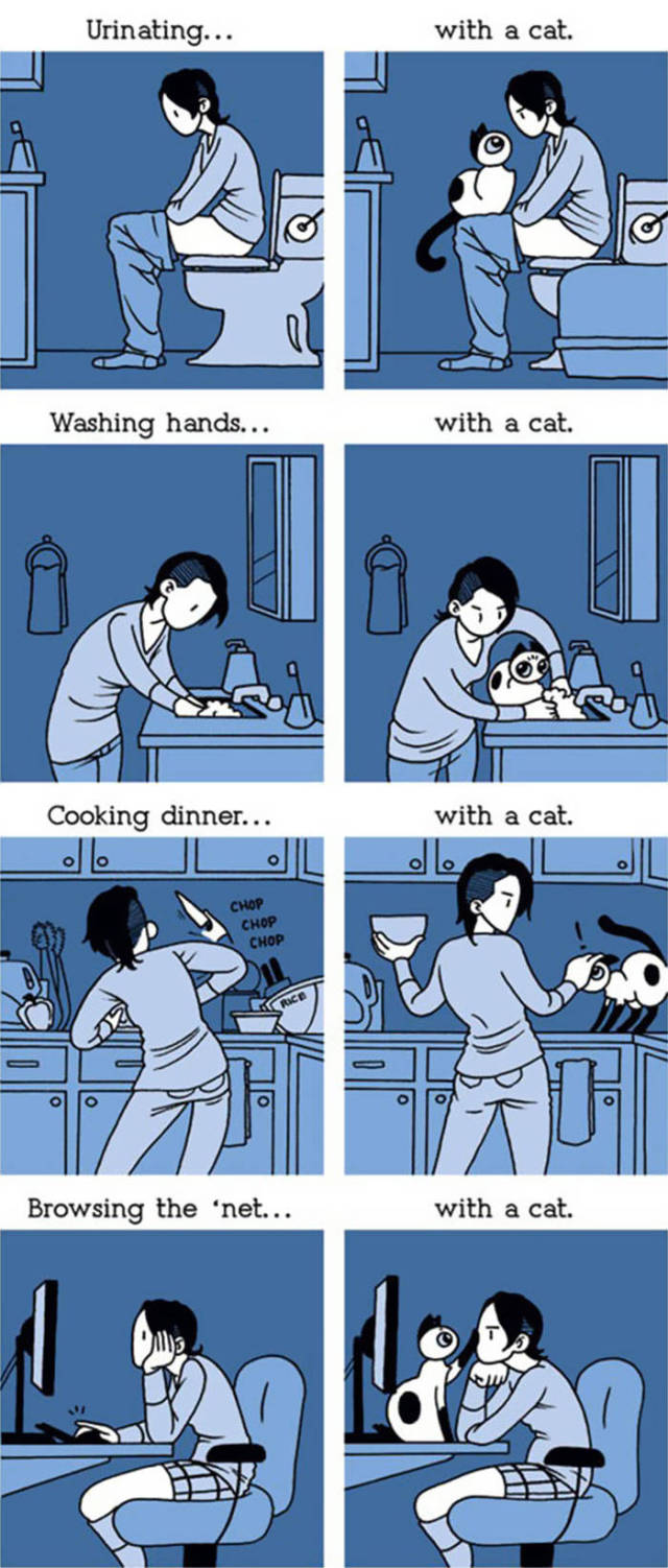 Life Is Never Boring When You Live With A Cat (50 pics)