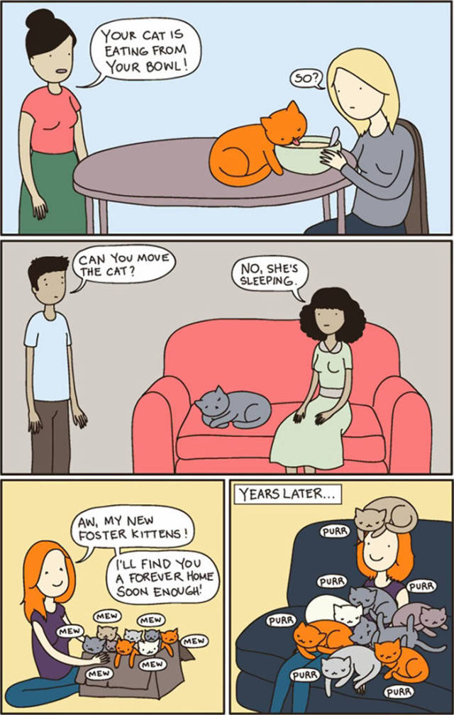 Life Is Never Boring When You Live With A Cat (50 pics)