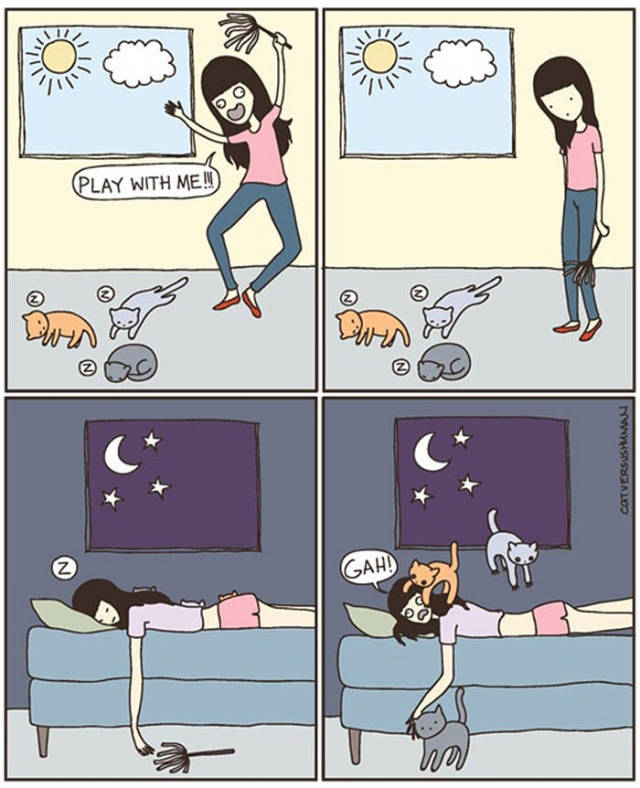 Life Is Never Boring When You Live With A Cat (50 pics)