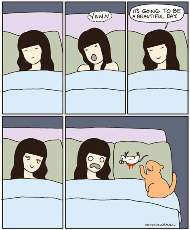 Life Is Never Boring When You Live With A Cat (50 pics)