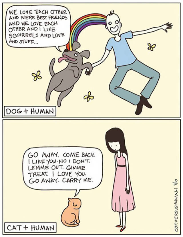 Life Is Never Boring When You Live With A Cat (50 pics)