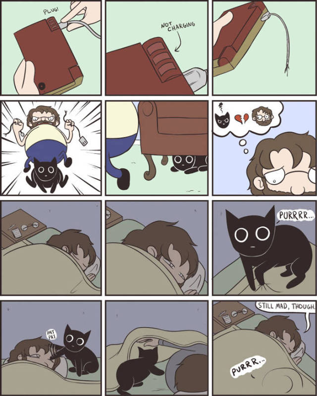 Life Is Never Boring When You Live With A Cat (50 pics)