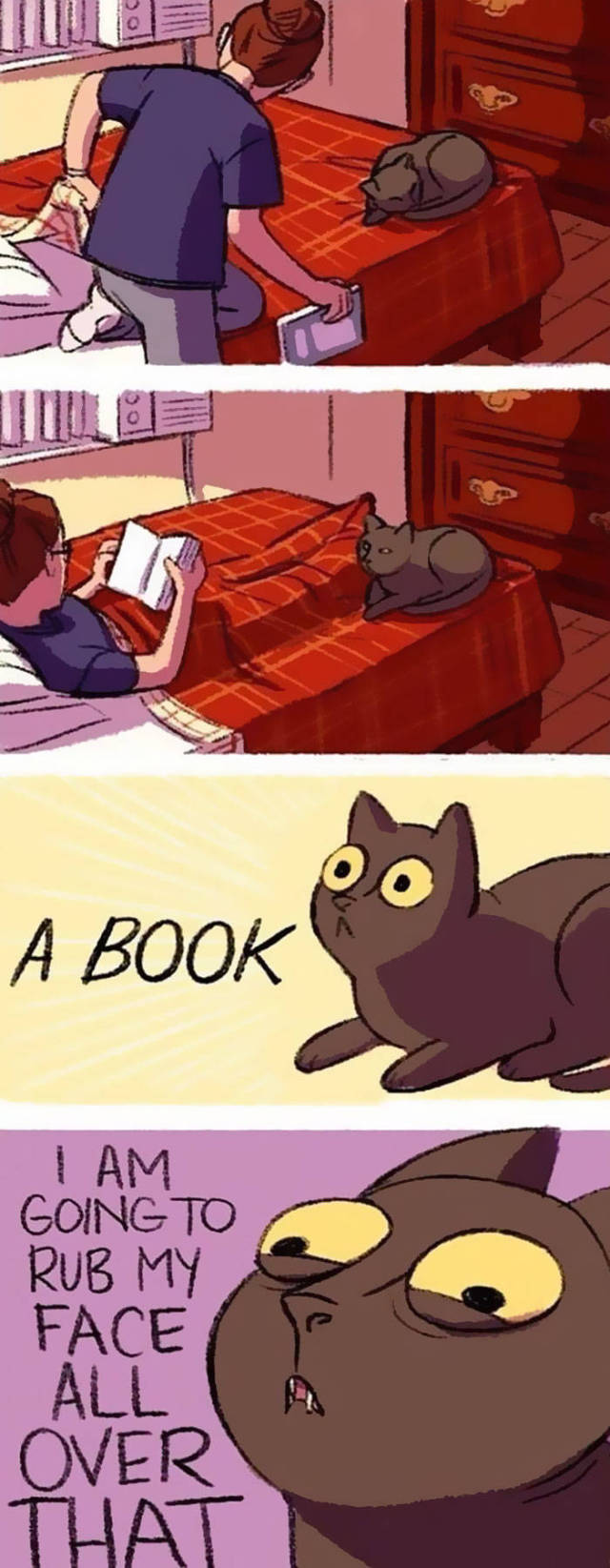 Life Is Never Boring When You Live With A Cat (50 pics)