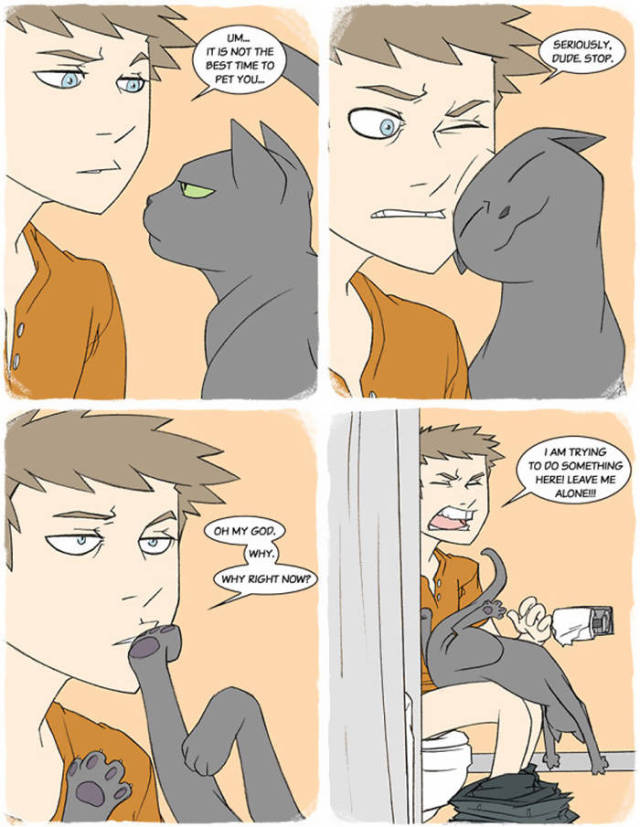 Life Is Never Boring When You Live With A Cat (50 pics)