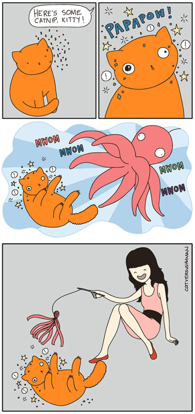 Life Is Never Boring When You Live With A Cat (50 pics)
